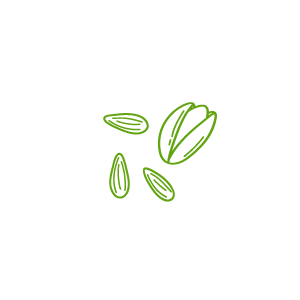 Nuts, Seeds & Dried Fruits category at Elsouk featuring Zain Roasted Sunflower, Qamar Eldin, and Abu Auf Dates available for delivery across Canada.