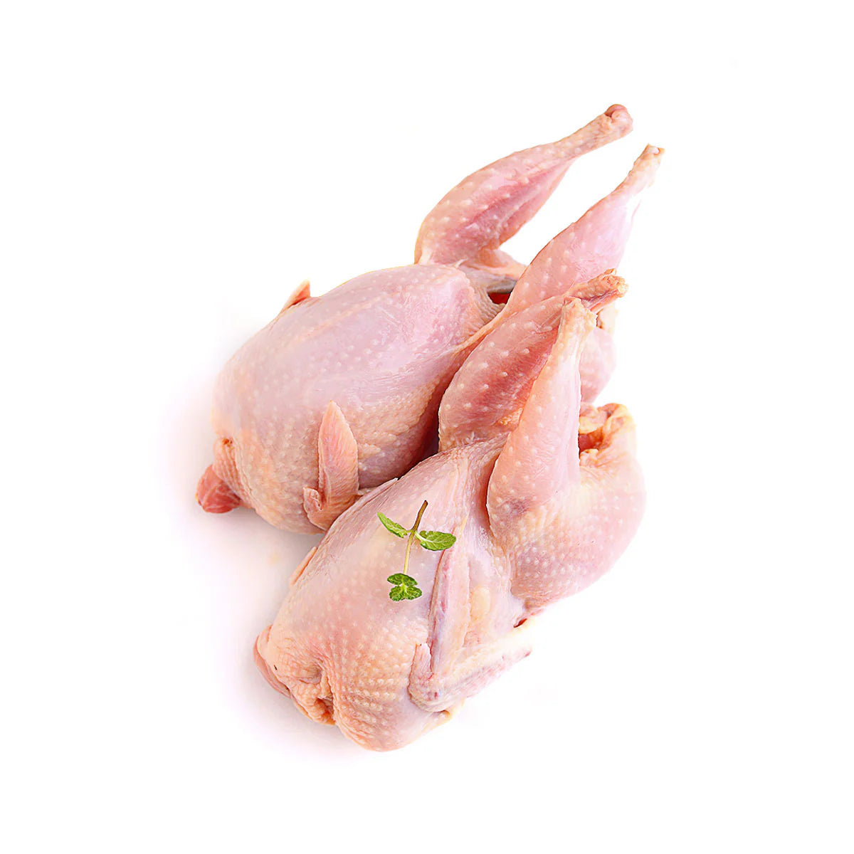 Halal Egyptian Pigeon Hamam Mahshi Canada