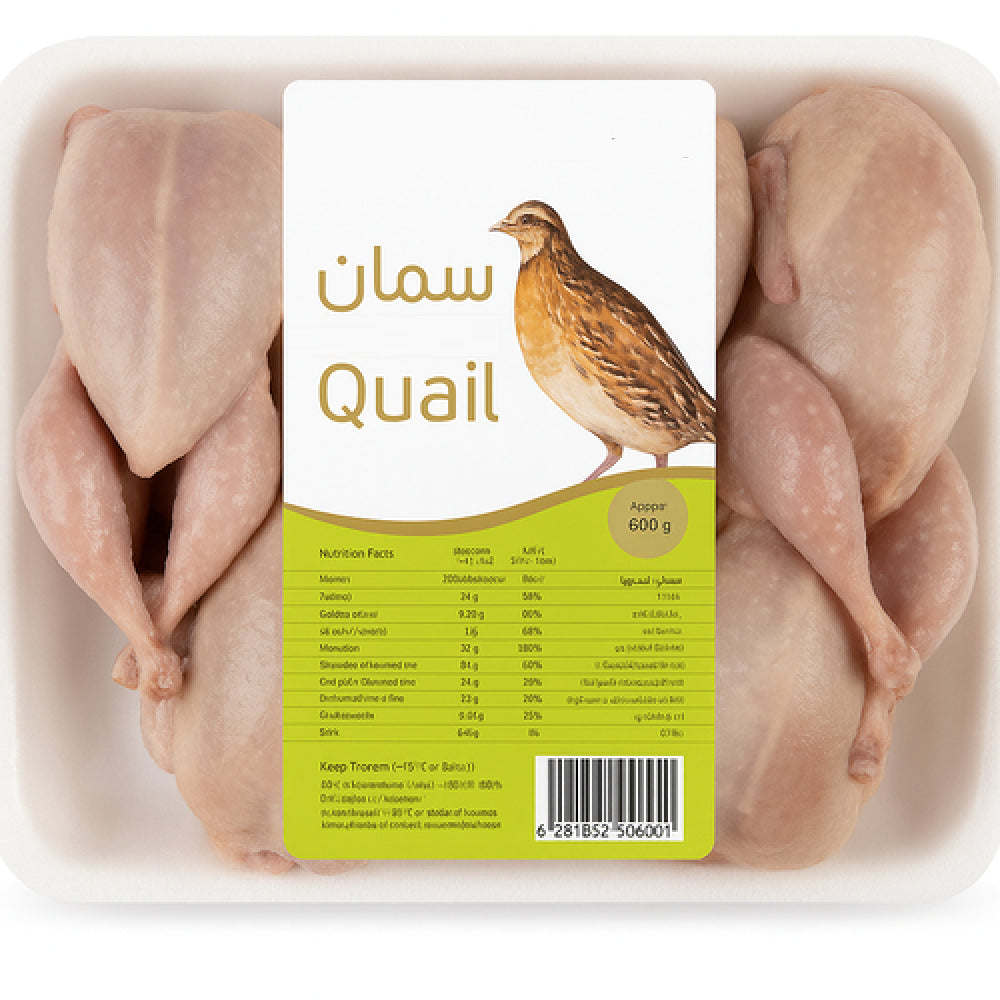 Fresh ENS Quail (سمان) bird with detailed feathers, ready for cooking or roasting.