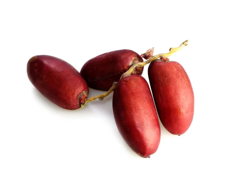 Fresh Egyptian Red Zaghloul Dates Elsouk 2KG natural sweet fruit Canada