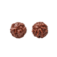 Chocolate-coated Shakalama Elabd Elsouk sweet coconut candy 125g Canada