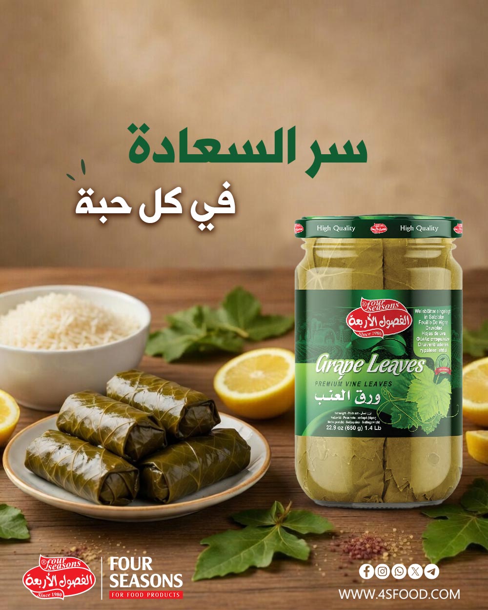 Four Seasons Vine Leaves محشي ورق عنب