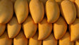Egyptian Mango - Owissy at Elsouk 6 pounds fresh mangoes from Egypt for seasonal enjoyment

