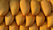 Egyptian Mango - Owissy at Elsouk 6 pounds fresh mangoes from Egypt for seasonal enjoyment

