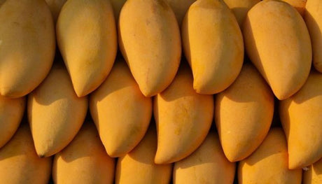 Egyptian Mango - Owissy at Elsouk 6 pounds fresh mangoes from Egypt for seasonal enjoyment

