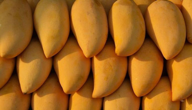 Egyptian Mango - Owissy at Elsouk 6 pounds fresh mangoes from Egypt for seasonal enjoyment

