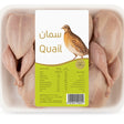 Fresh ENS Quail (سمان) bird with detailed feathers, ready for cooking or roasting.