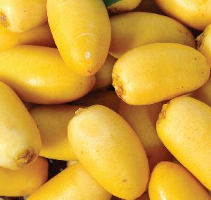Egyptian Yellow Zaghloul Dates (1KG, 2KG, or 3K)