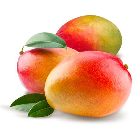 Fresh Egyptian Mango - Tommy from Elsouk for natural tropical sweetness